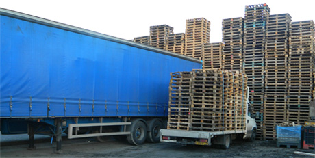 Contact Direct Pallet 